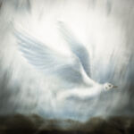envol mouette 24