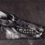 Crane de sanglier par Marilda Simonidhi