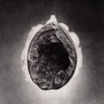 Ecorce efleurée par Marilda Simonidhi