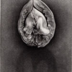 Fragment par Marilda Simonidhi