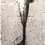 Poisson enraciné I par Marilda Simonidhi