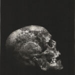 Vanité par Marilda Simonidhi