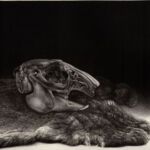 Murmure d\'absence par Marilda Simonidhi