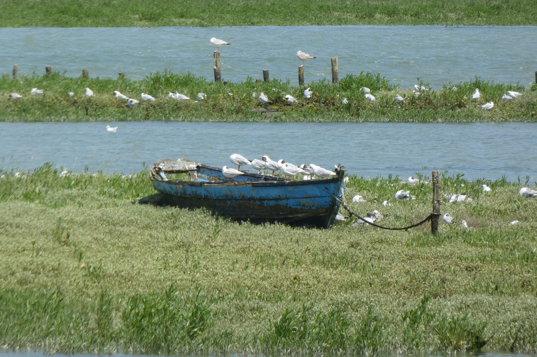 barque-echouee-en-rance