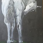 Jument de la Haute Vilaine