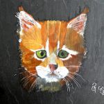 Chaton Roux