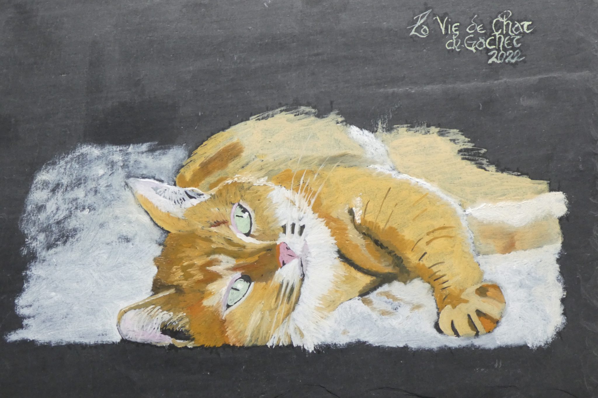 la-vie-de-chat