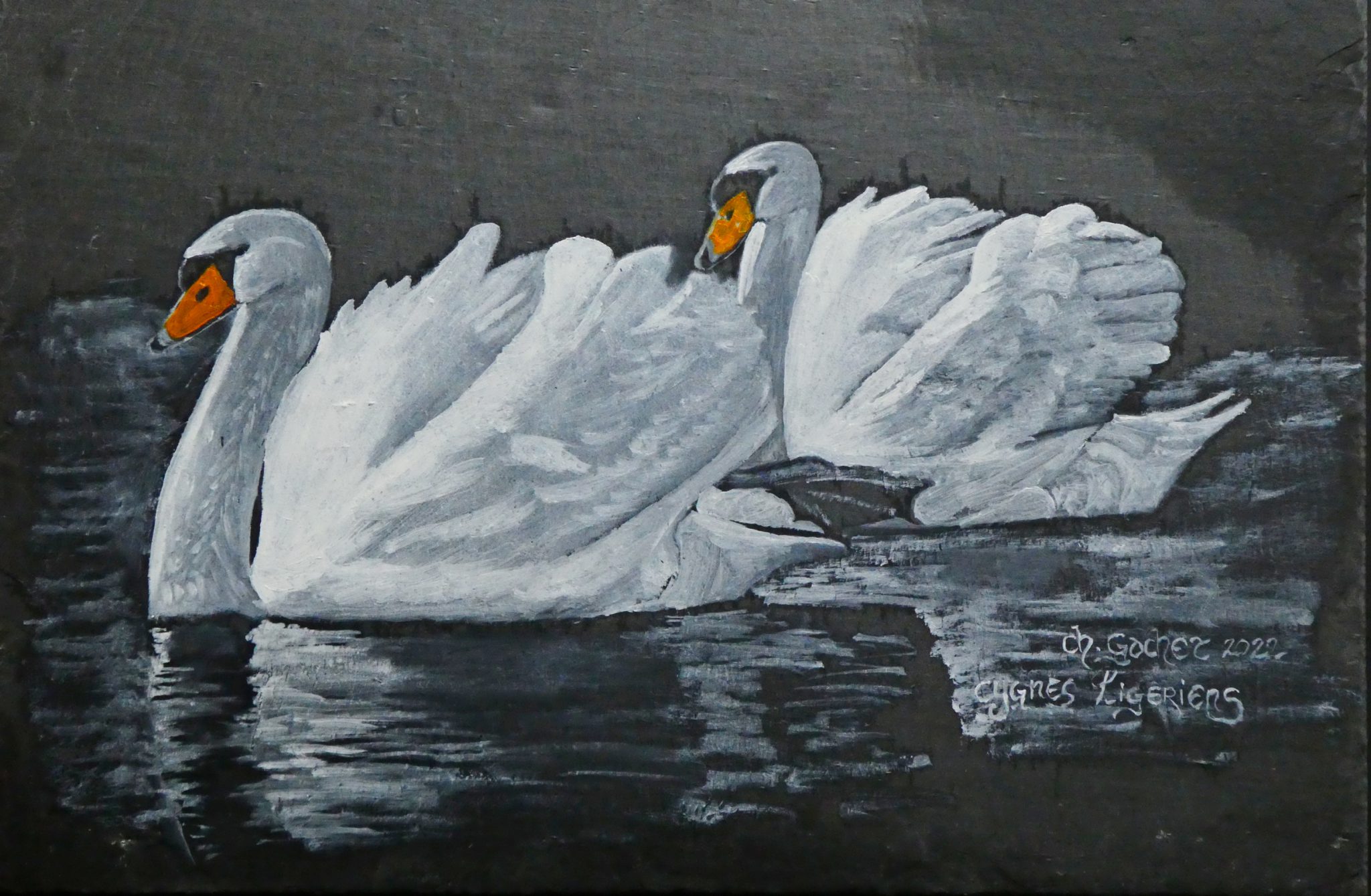 les-cygnes-ligeriens