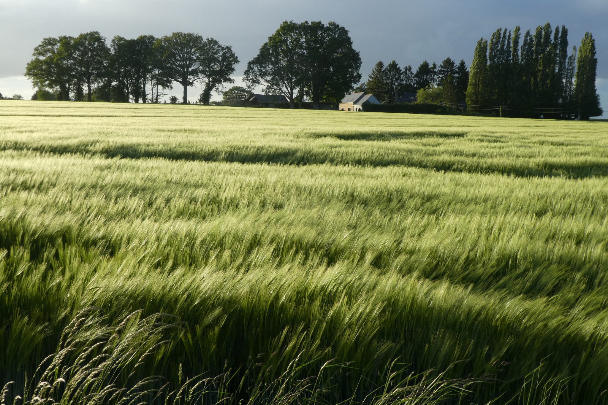 rannee-soir-dorage