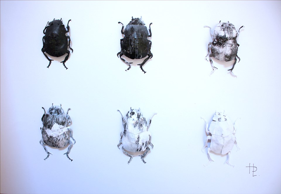 scarabees-lettres