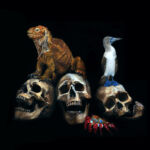 Memento Mori des Galapagos par Sailev