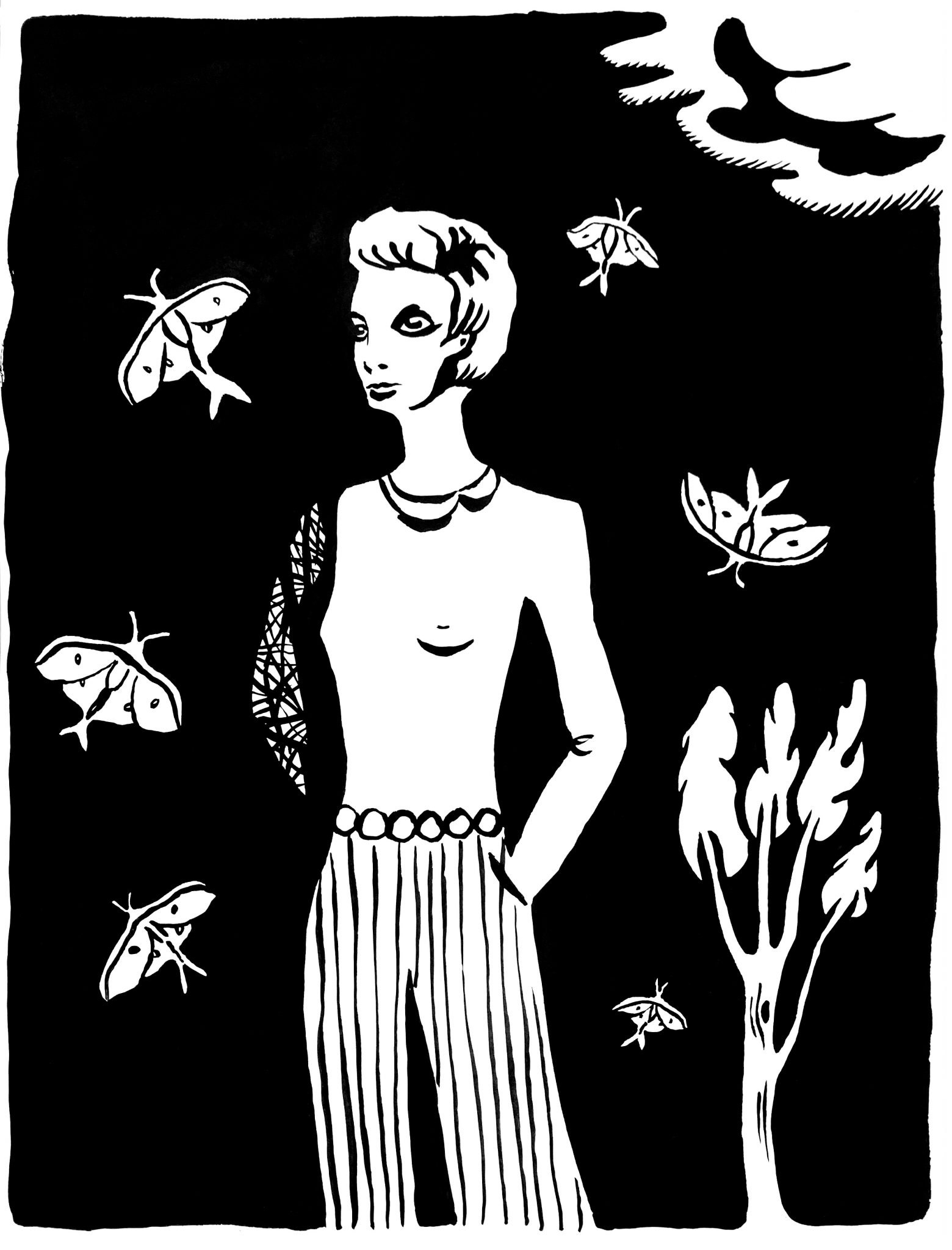 night-butterfly