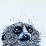 SURICATE