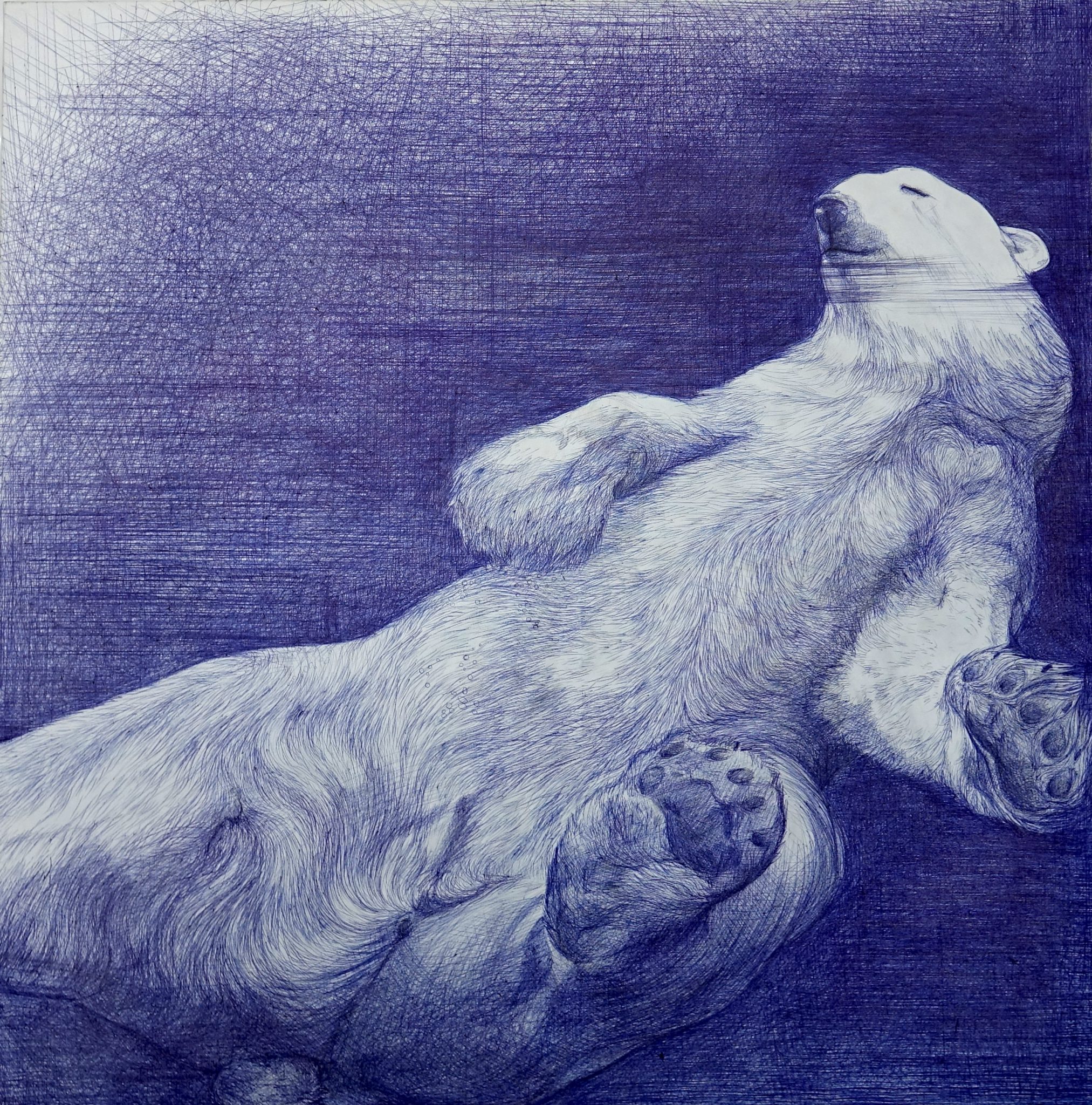ours-bleu