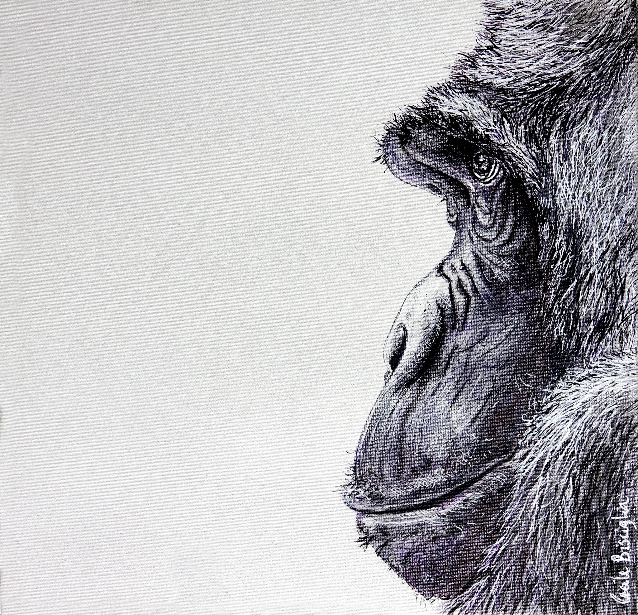 orang-outan-2