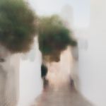 Apolonia walk 2