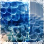 Blue Flowers 2