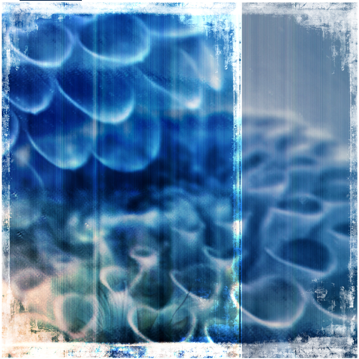 blue-flowers-2
