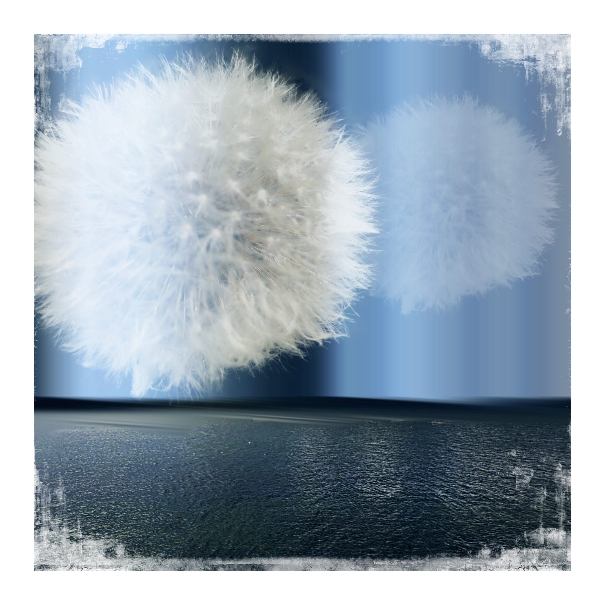blue-flower3