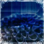 blue flowers 10