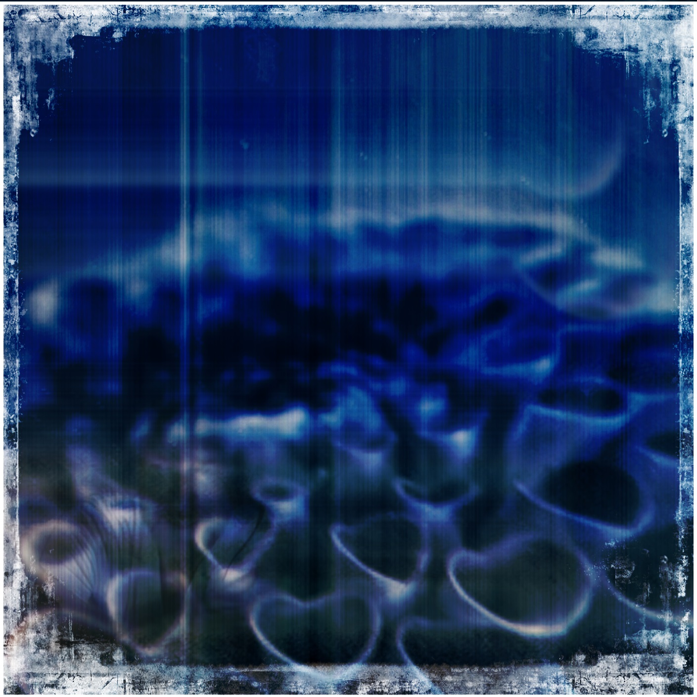 blue-flowers-10