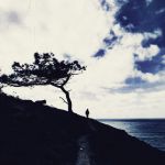 SOLO TREE 2
