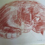 IMG_1147 - Copie par maryline michaux