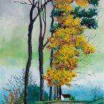 L'omino et les Arbres