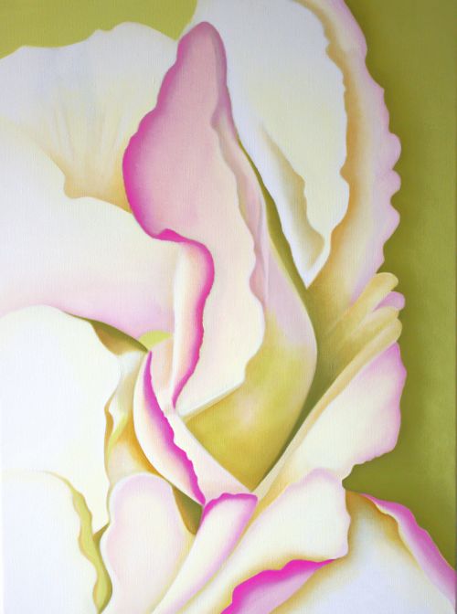 begonia-final-2025-23-73x54-4257e