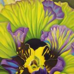 PANSY  par JChadima