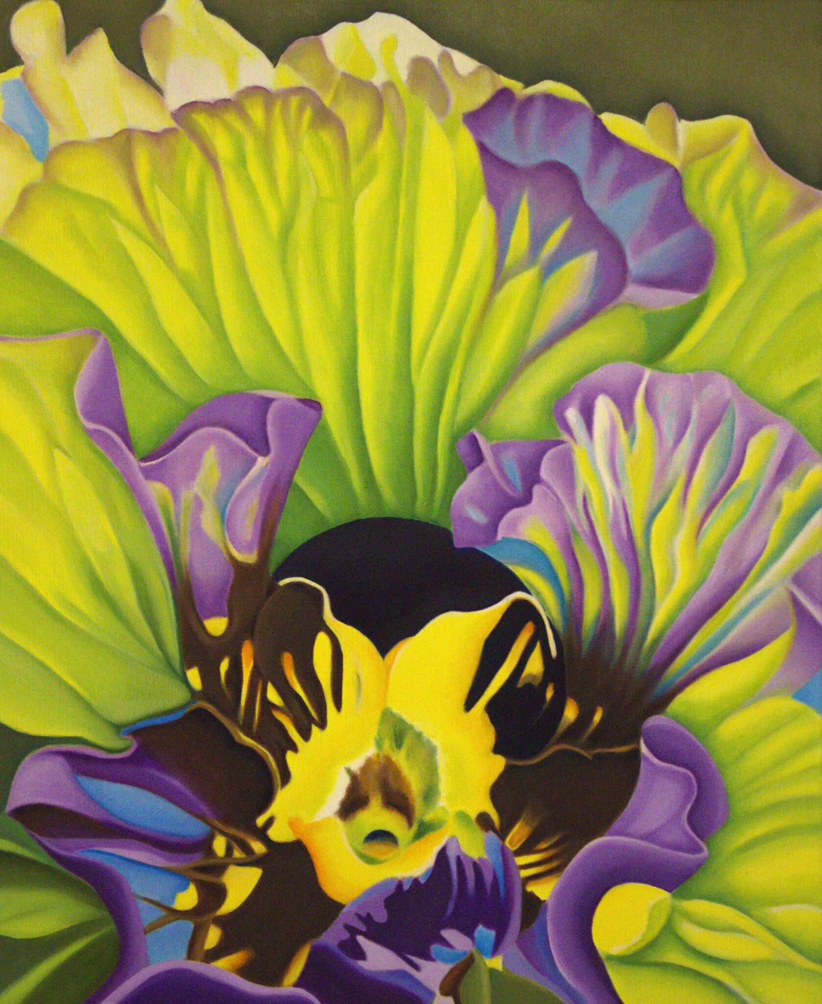 pansy