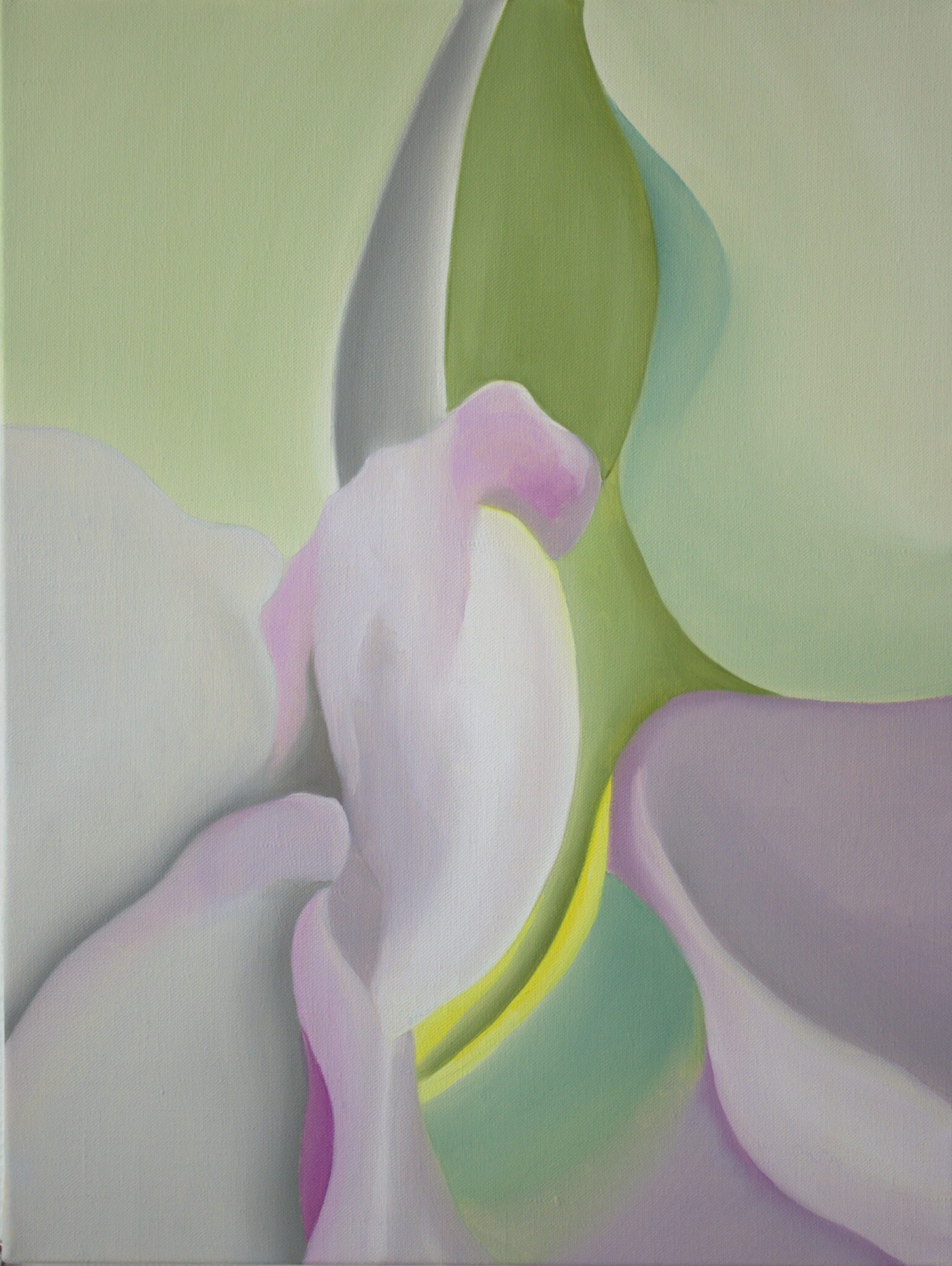 springtimeinparis-6-61x46-2415e