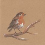 Rouge-gorge
