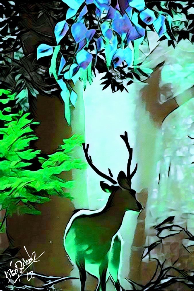 le-rois-de-la-foret