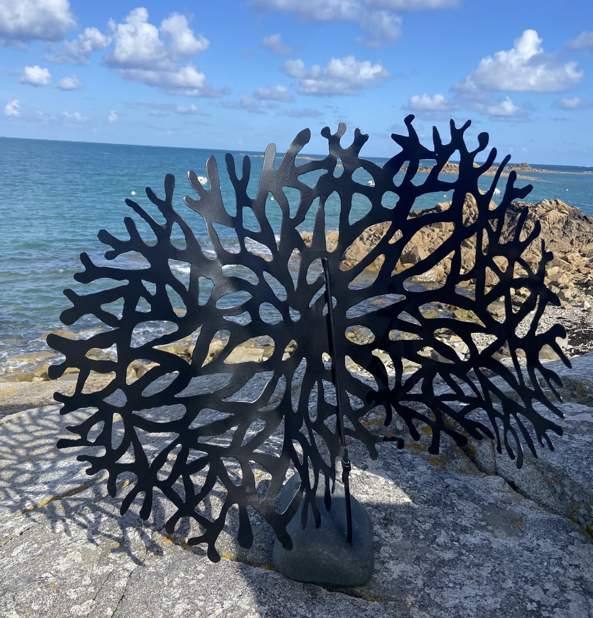 chondrus-crispus-metallicus