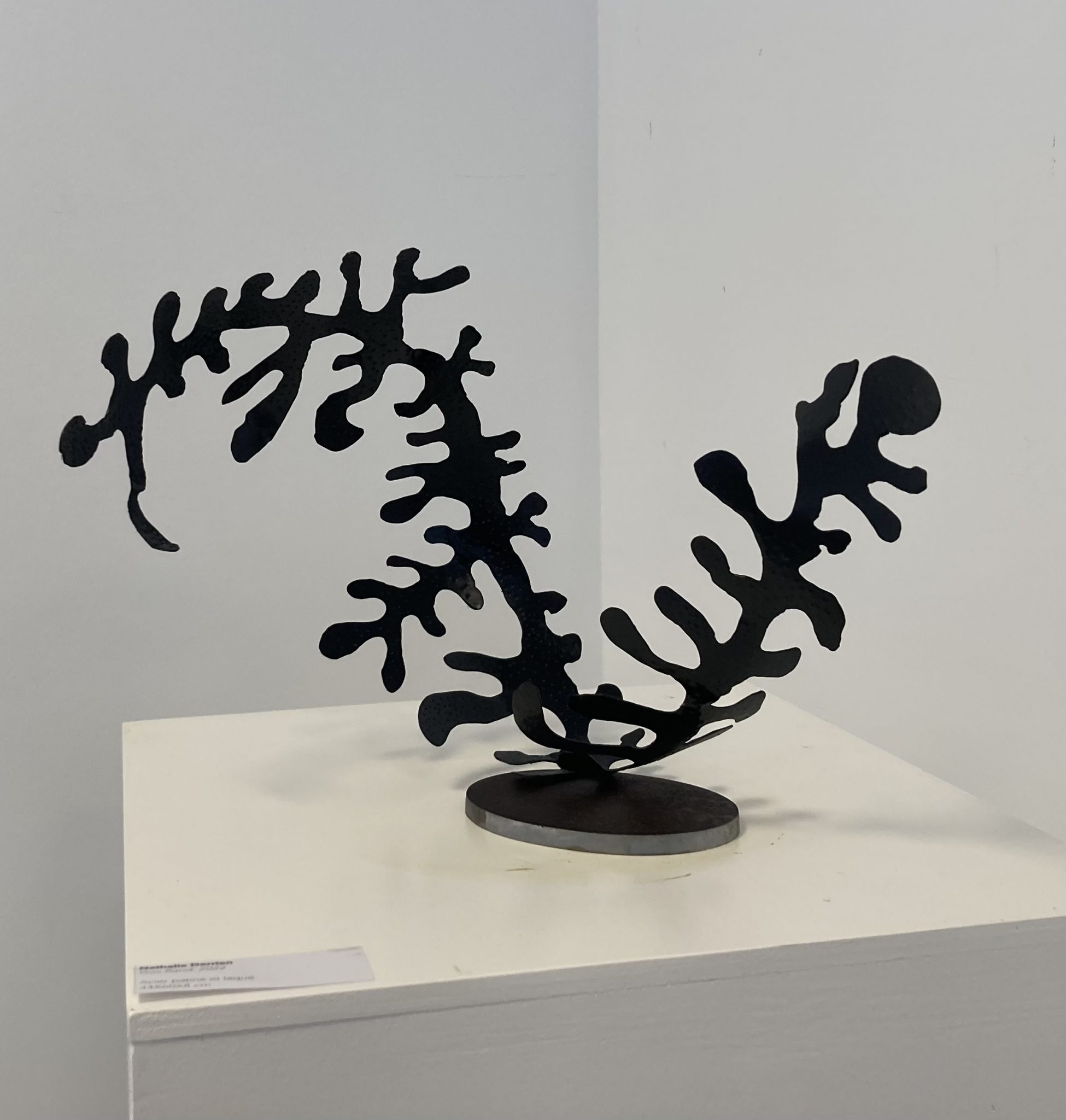 836b376d-d0a3-426d-83c7-ebd5a33dcdb1