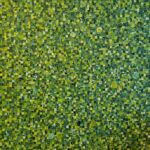 Maud Giraudeau - Du Vert Dans La Vie par Maud Giraudeau