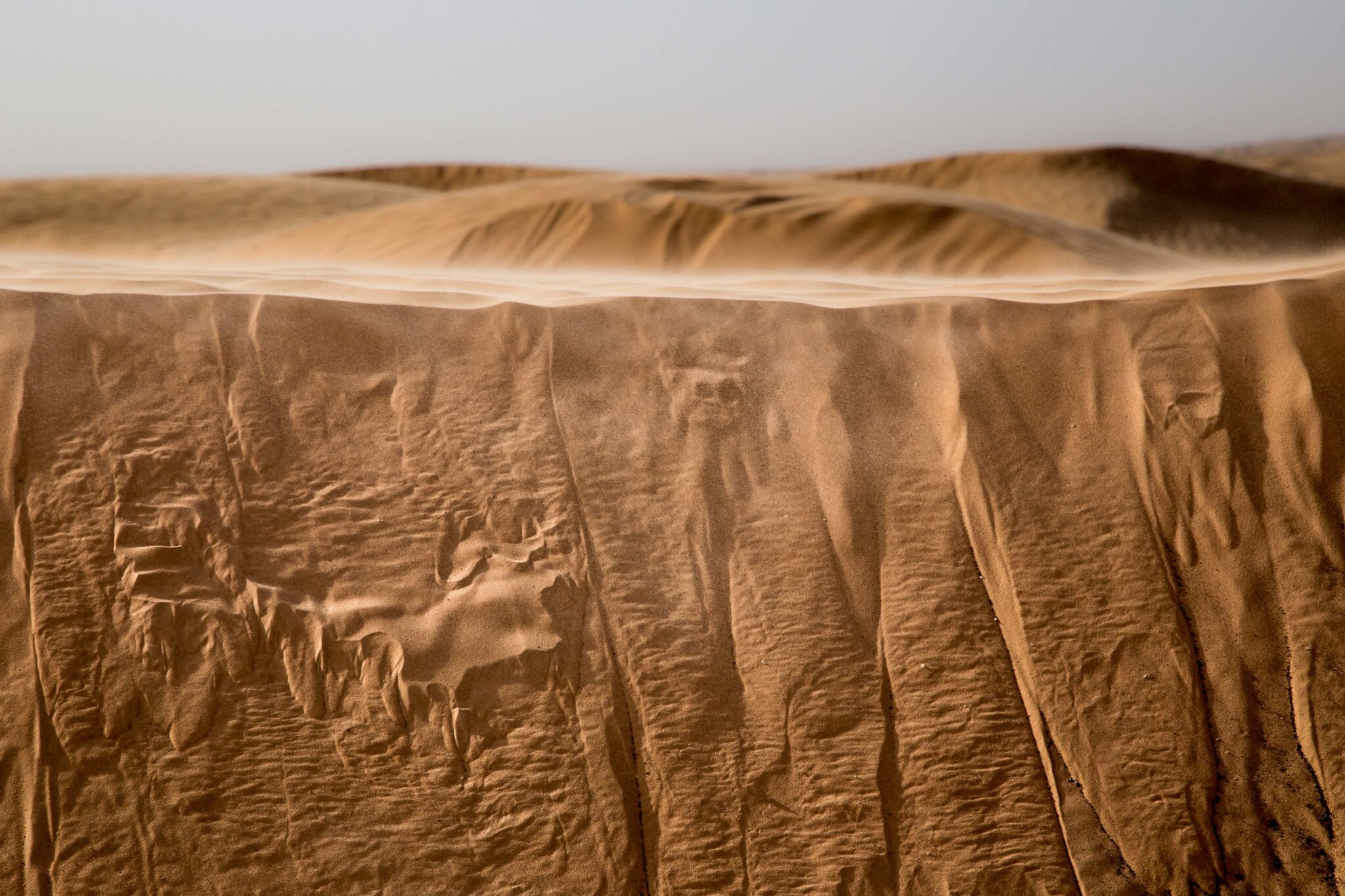 desert_les-ephemeres_1