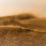 desert_les ephemeres_2
