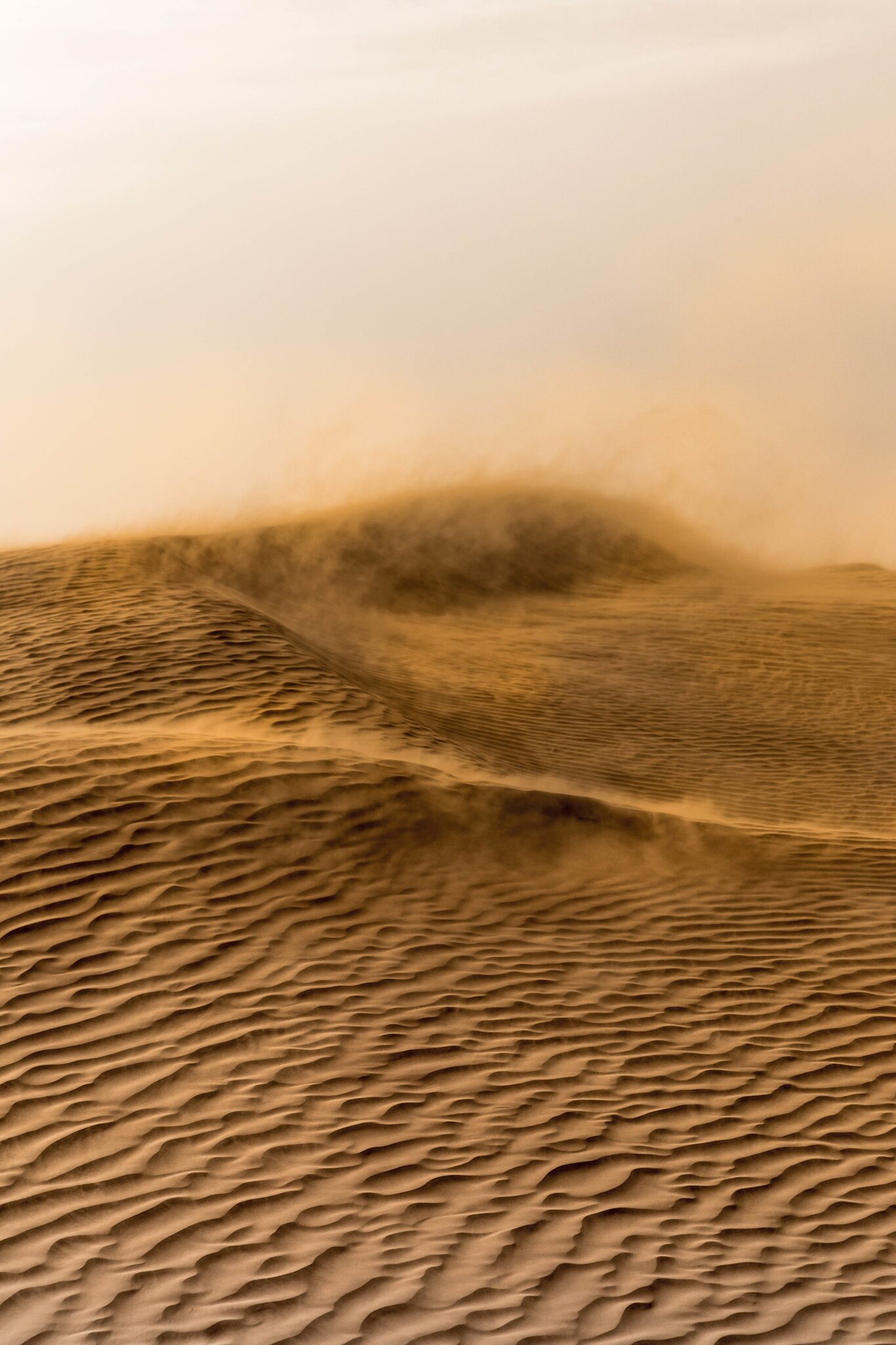 desert_les-ephemeres_2