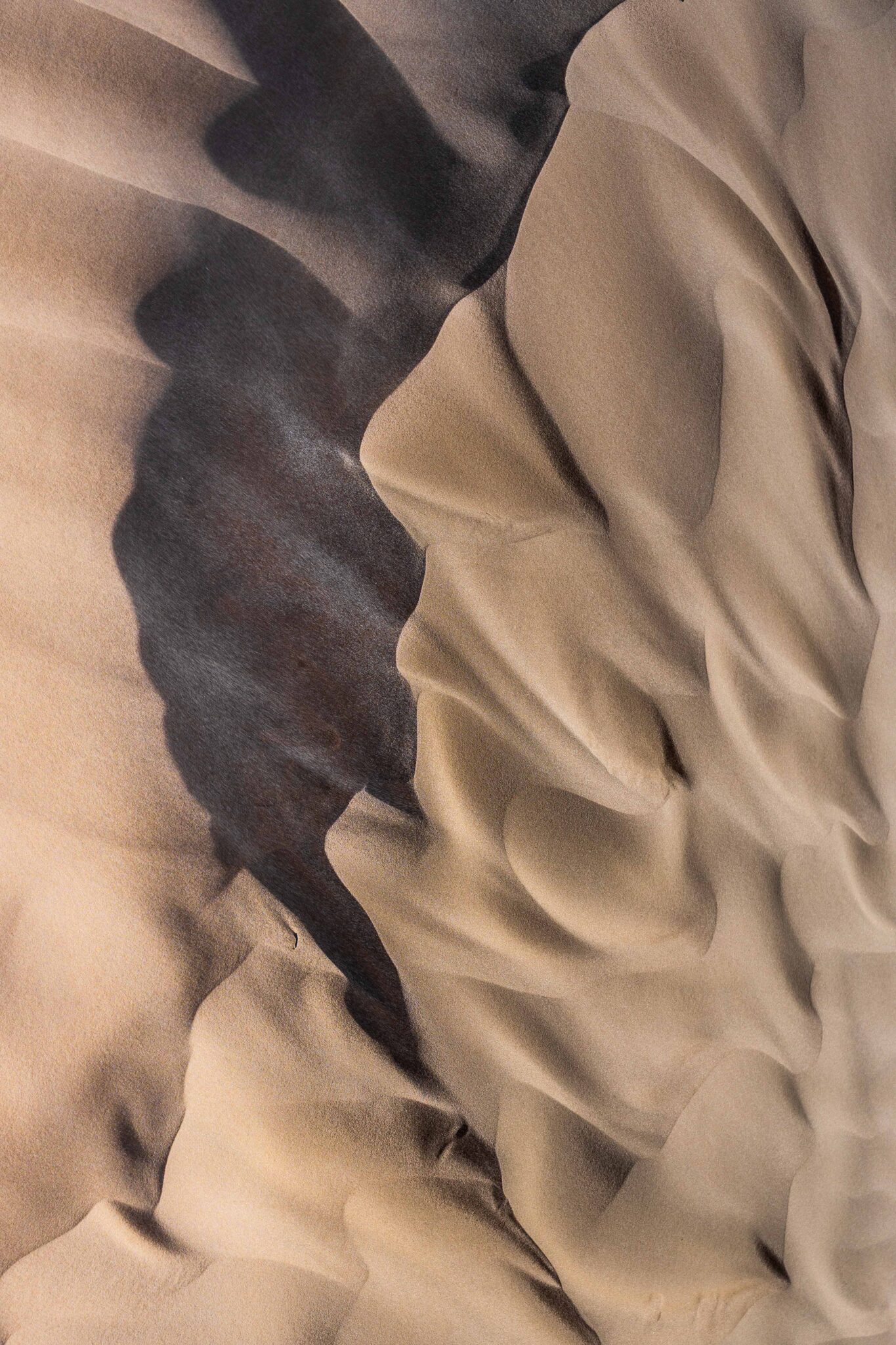 desert_les-ephemeres_4