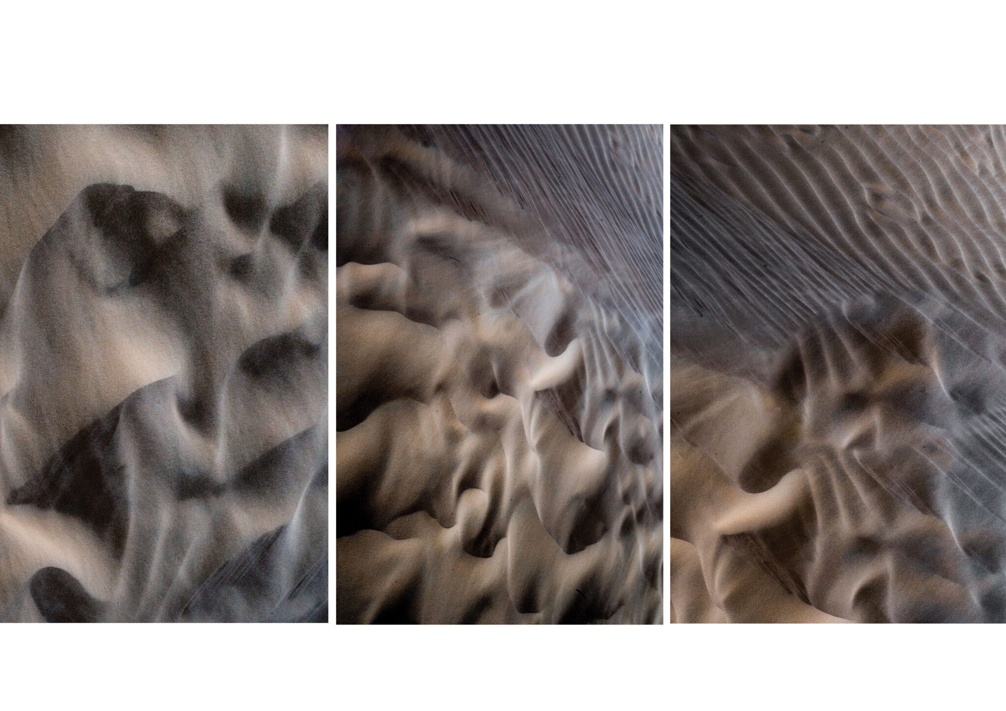 desert_les-ephemeres_5