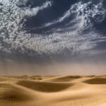 desert_les ephemeres_9