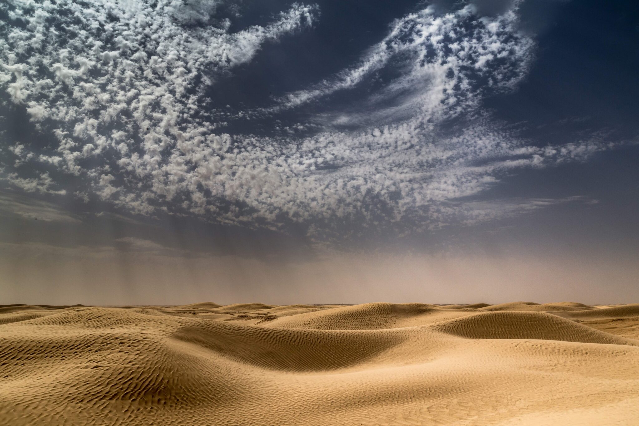 desert_les-ephemeres_9