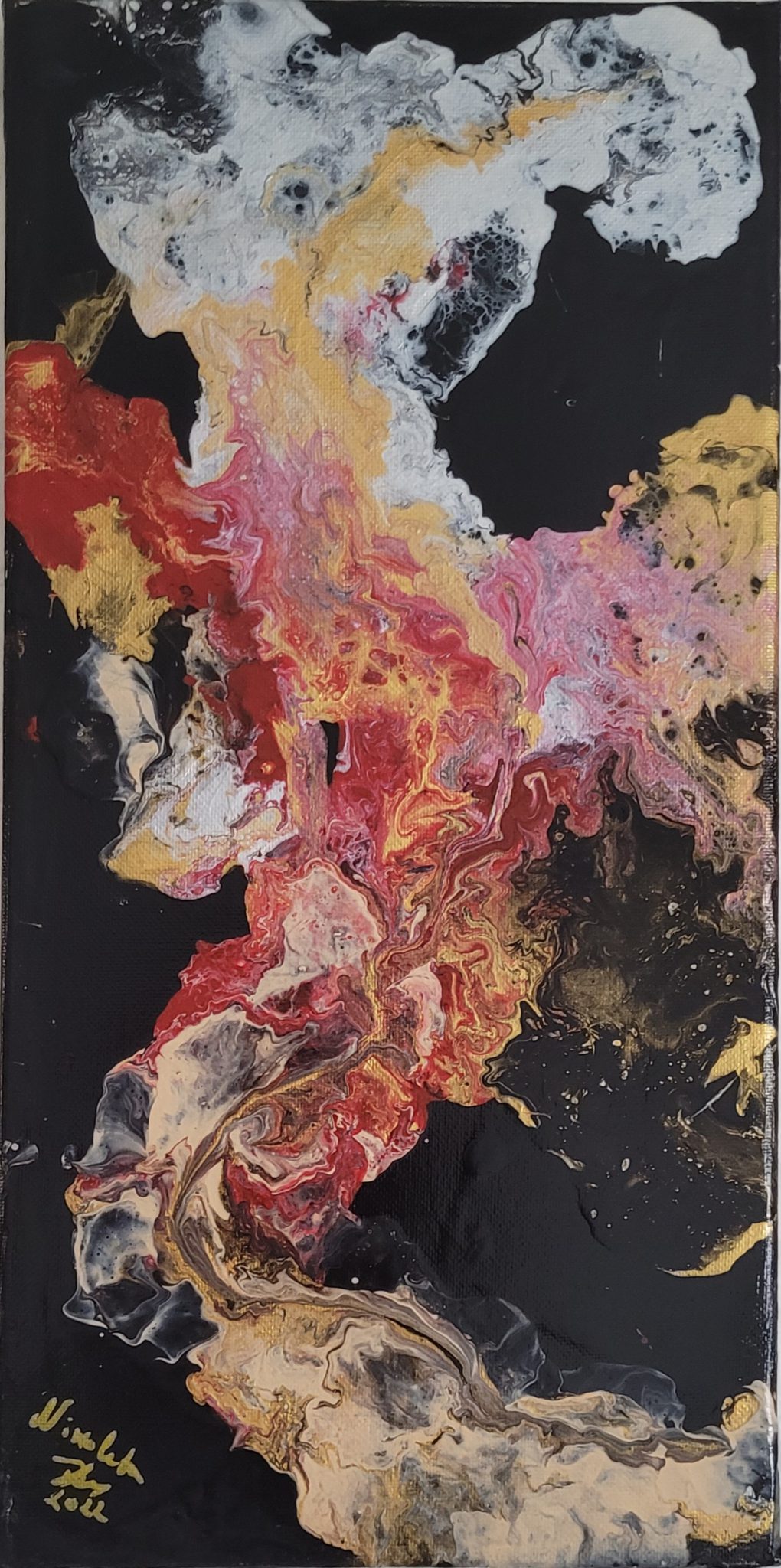 perroquet-abstrait-en-nuances-de-fantaisie-noir