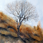 Lost in the fog - 2023