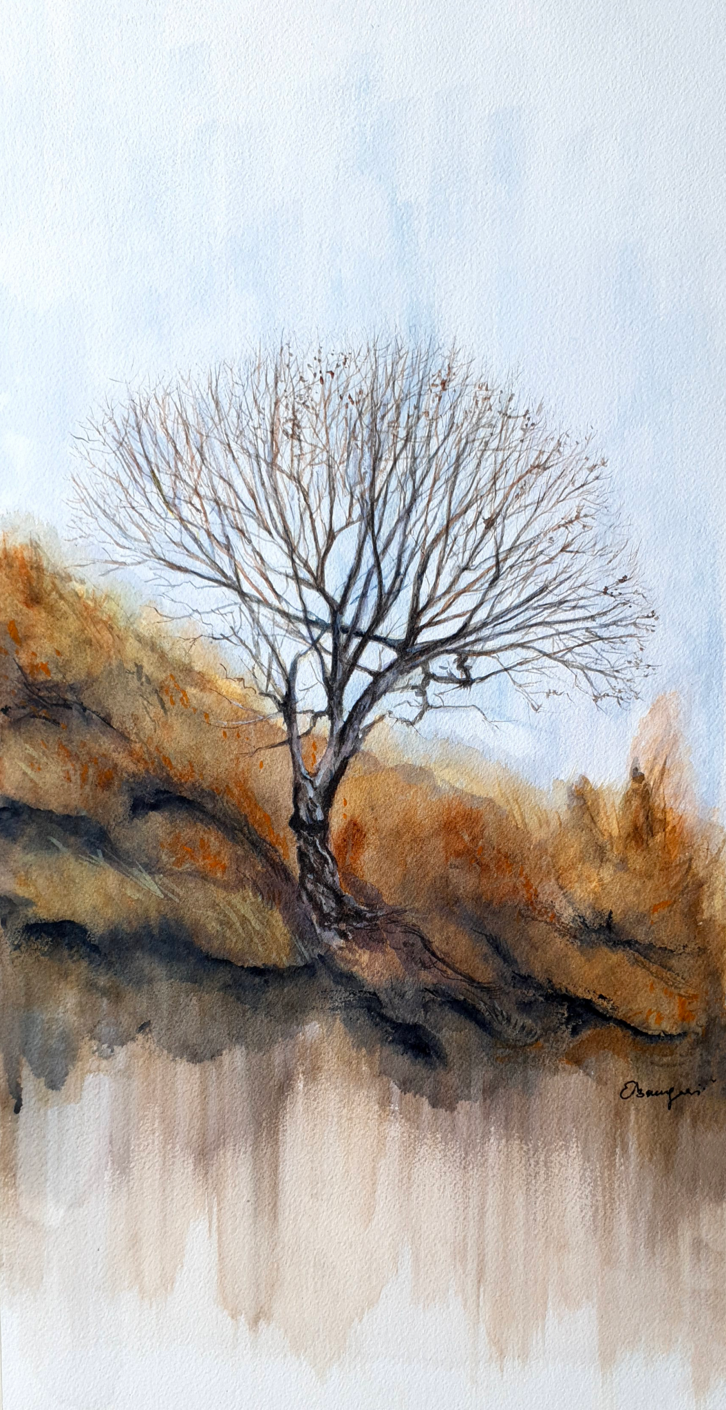 lost-in-the-fog-2023