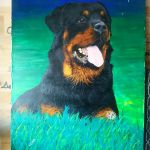 Fiable et rassurant, comme toi