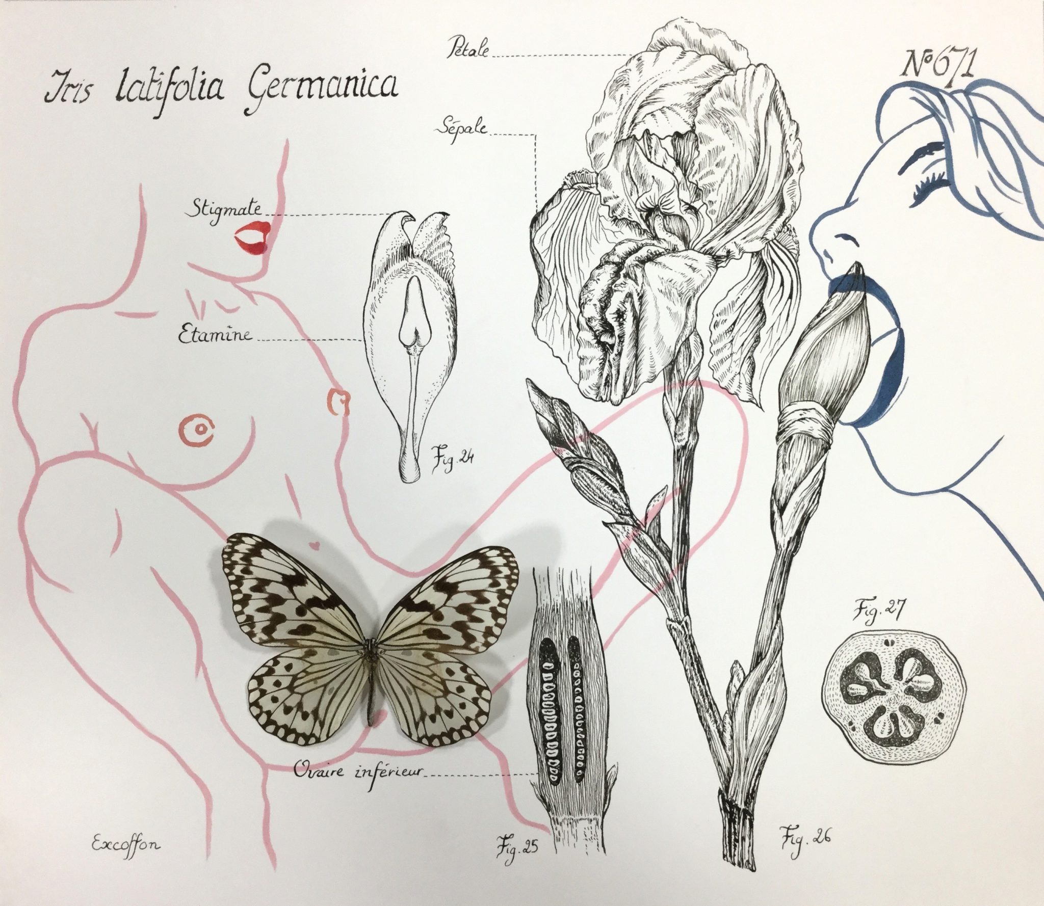 histoire-naturelle-n671