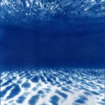 From the bottom par Planquais Alexandra